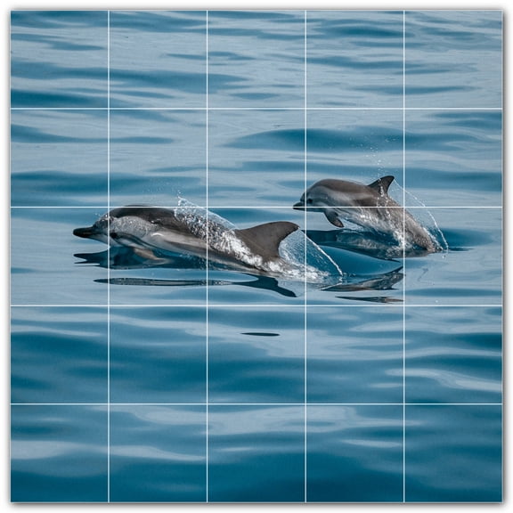 Picture-Tiles.com: Dolphin Ceramic Tile Wall Mural WAL500501-55M. 30"W x 30"H using (25) 6" x 6" Ceramic Tiles-Satin Finish