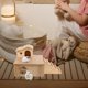 thumbnail image 2 of 1 juego de casa de madera para hámster, juguete de escalera de madera para chinchilla., 2 of 8