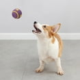 thumbnail image 3 of Jouet à Mâcher en Latex Durable pour Chiens Forme Ronde Interactive Jouet pour Animaux Activité Intérieure Extérieure avec Son Couineur, 3 of 5