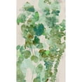 thumbnail image 3 of Goldberger, Jennifer 16x24 Black Modern Framed Museum Art Print Titled - Watercolor Eucalyptus II, 3 of 5