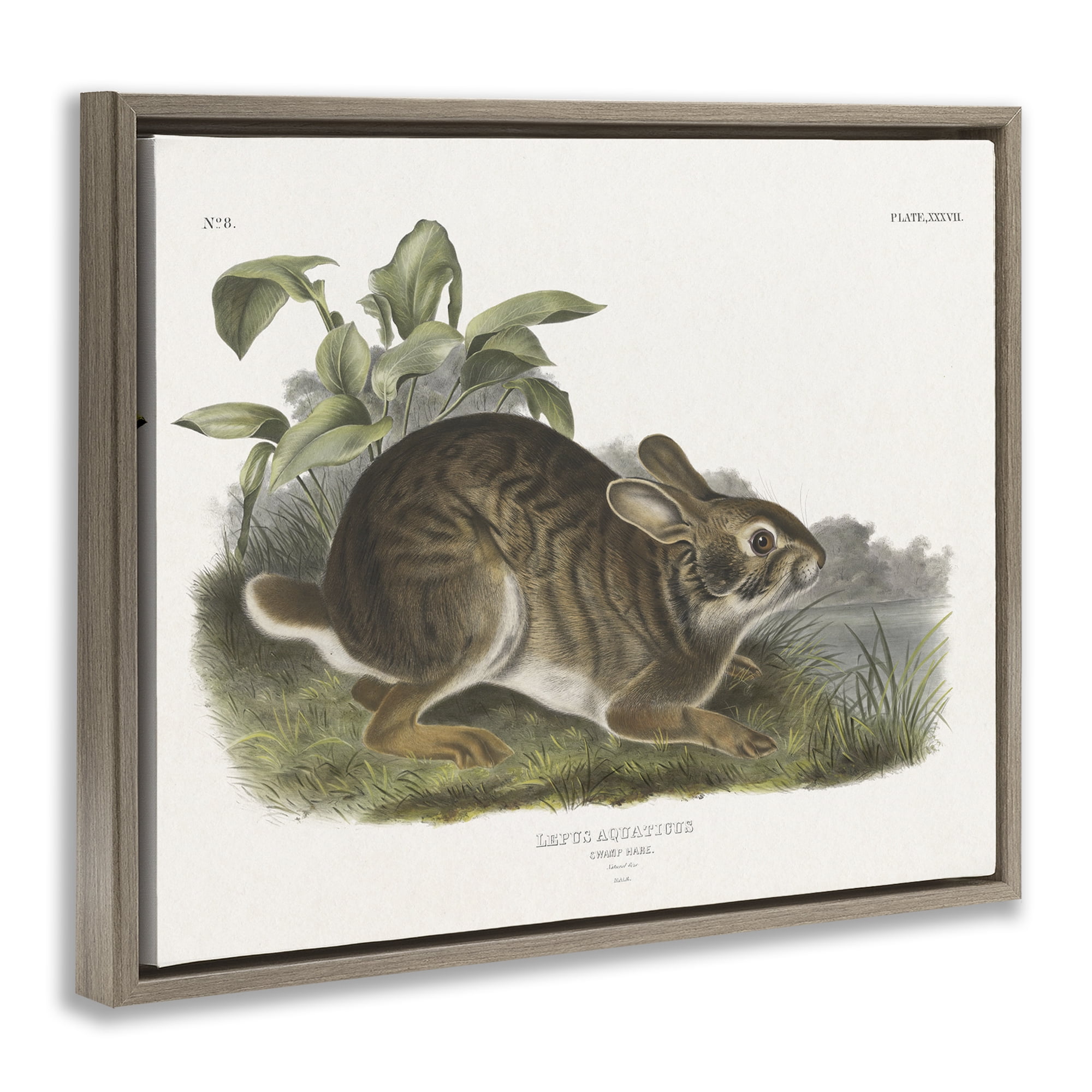 Stupell Industries Vintage Cottage Hare Animals & Insects Painting Brown Floater Framed Canvas Art Print Wall Art, 31 x 25