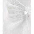 thumbnail image 2 of BNY Corner A-Line Organza Long Dress White 14 HC1251, 2 of 5
