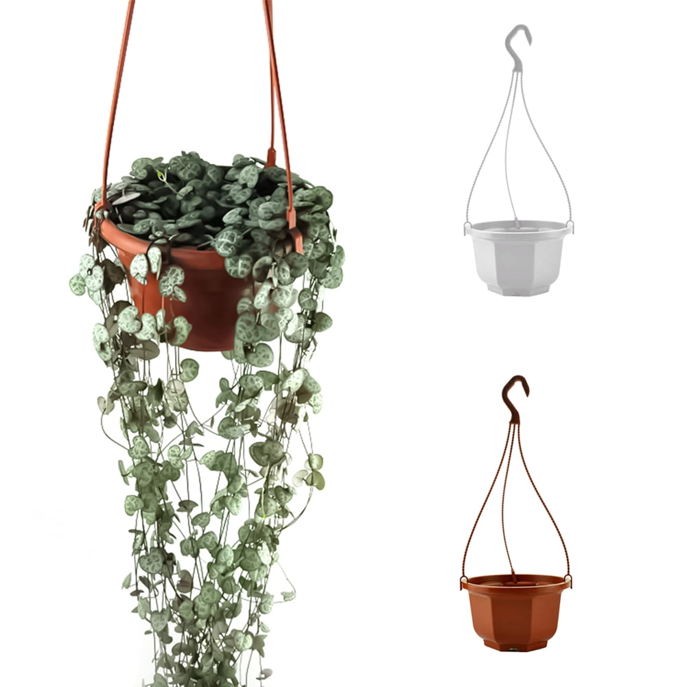 Steger 3 Pieces Plastic Hanging Plant Pot Garden Flower Pot Wall Hanging Flowerpot Hanging