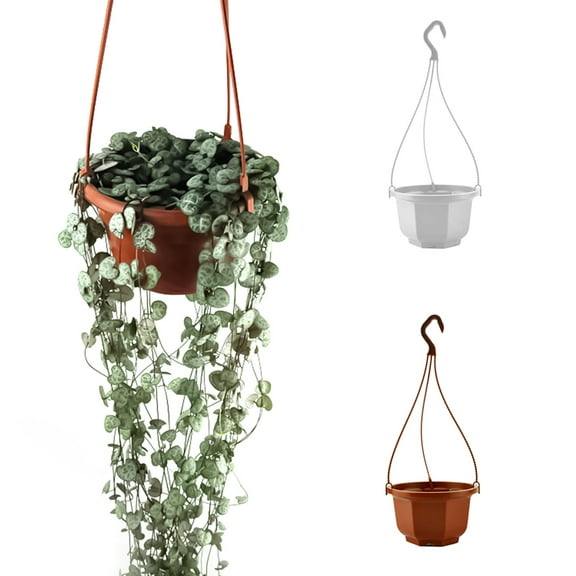 Steger 3 Pieces Plastic Hanging Plant Pot Garden Flower Pot Wall Hanging Flowerpot Hanging Nursery Basket Hanging Orchid Pot for Outdoor Indoor Garden Decor