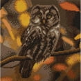 thumbnail image 1 of CA Kit (Medium) - Tawny Owl, 1 of 1