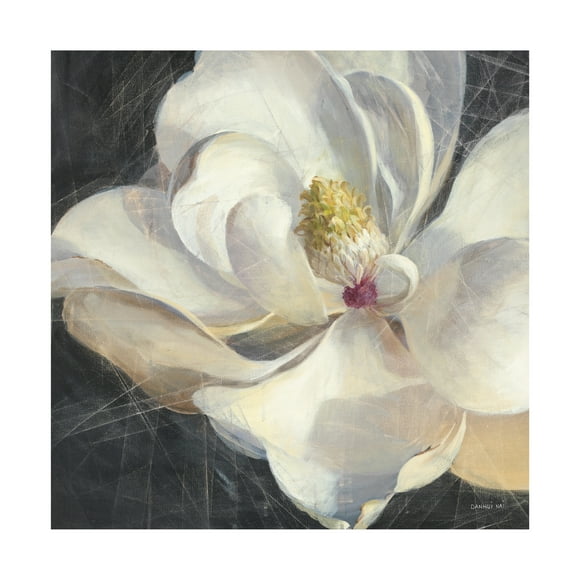 Trademark Fine Art 'Vivid Floral IV Crop' Canvas Art by Danhui Nai