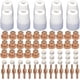 thumbnail image 1 of plasma cutter consumables for cut 40 50 70 pcs, 1 of 5