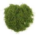 thumbnail image 1 of Musgo artificial para plantas en macetas, decoración de césped sintético para interiores, manualidades, terrario y jardín de hadas, musgo decorativo para centros de mesa, plantas artísticas, 1 of 6