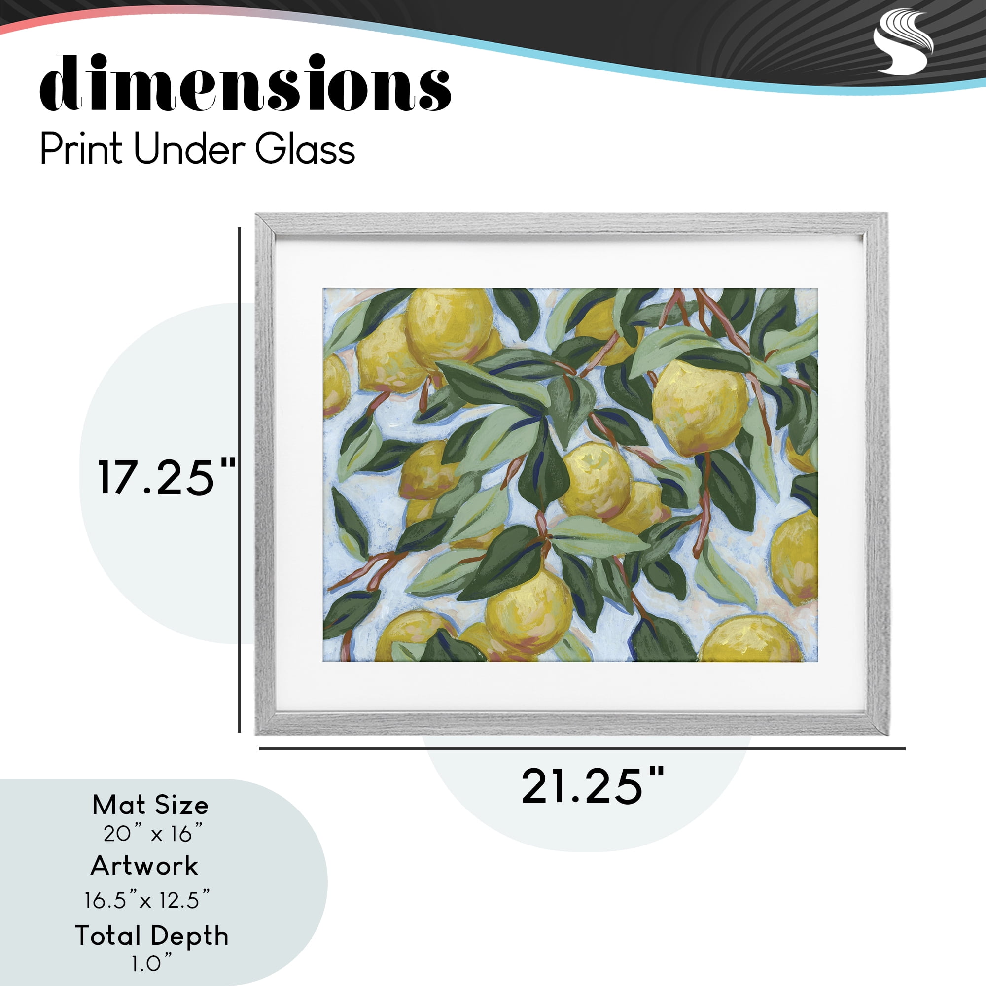 Stupell Industries Summer Citrus Tree Gray Framed Print Under Glass, design by June Erica Vess