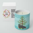 thumbnail image 2 of Carolines Treasures CK4680CDL 3.75 x 3.25 in. Unisex Black Persian Style Traditional Cat Merry Christmas 10 oz Decorative Soy Candle, 2 of 5