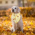 thumbnail image 6 of Thanksgiving Dog Bandana - Pumpkin Turkey Scarf, Fall Autumn Leaves Bandanas for Medium Large Dogs Pets, Triangle Reversible Fall Pet Scarf, 6 of 6