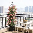 thumbnail image 5 of Orangide Black Flower Trellis for Climbing Vines, Fiberglass Plant Climbing Bracket Outdoor, Adjustable Height Flower Rack for Garden Patio Balcony Courtyard Decor, 5 of 6