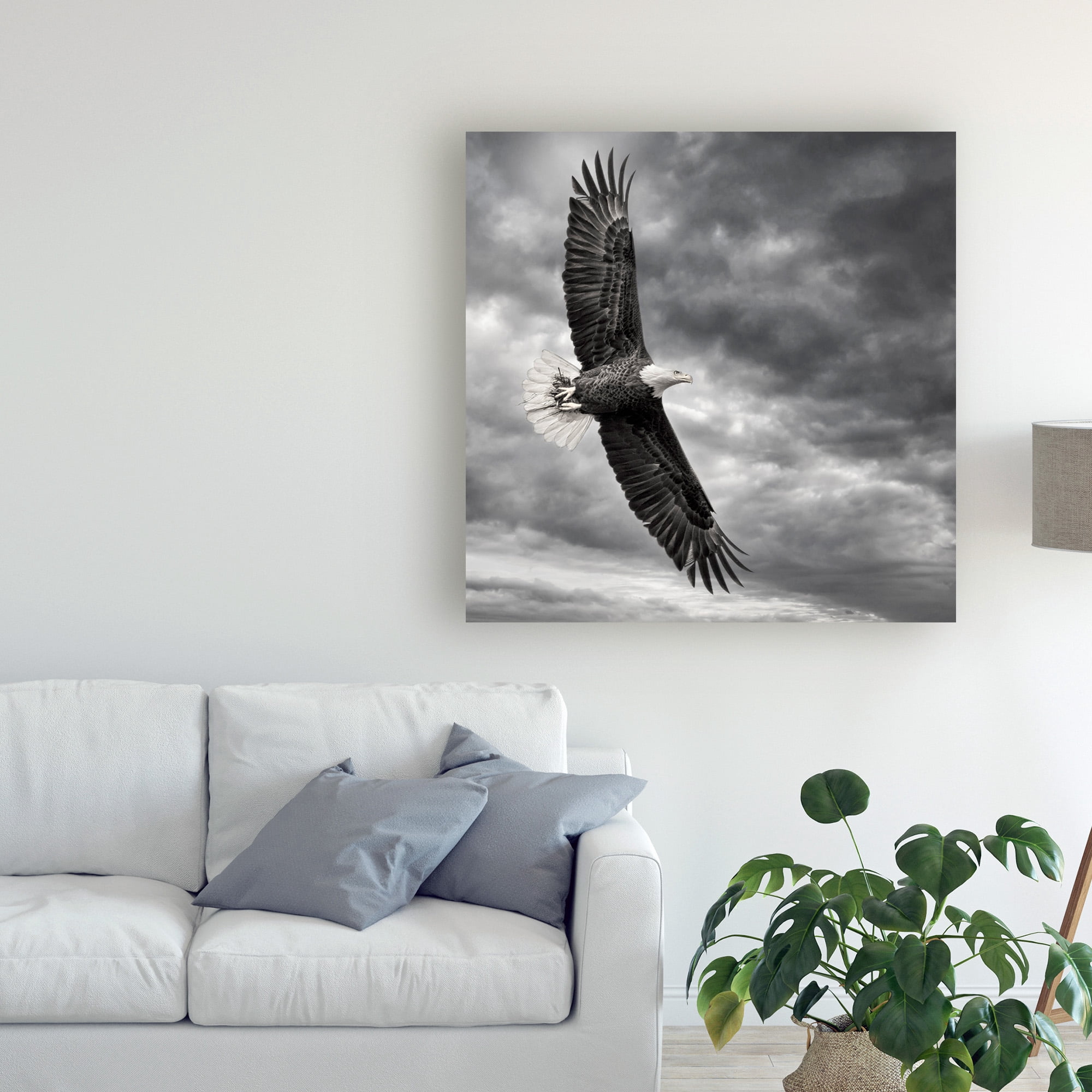 Trademark Fine Art 'Eagle in Flight' Canvas Art by PHBurchett