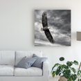 thumbnail image 3 of Trademark Fine Art 'Eagle in Flight' Canvas Art by PHBurchett, 3 of 4