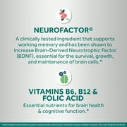 Neuriva Memory 3D Brain Supplements for Memory and Focus, Vitamin B12 & B6, Folic Acid, 50 Count Capsules