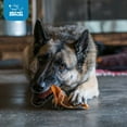 thumbnail image 2 of GigaBite Roasted Pig Ears for Dogs, Natural and Healthy Chews, Treats in Whole, Slices, or Sticks, Safe for Puppies and Aggressive Chewers, Clean Teeth and Gums - Pack of 12, 2 of 5