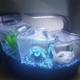thumbnail image 3 of Luz LED con clip para acuario, luz para pecera con LED blancos y azules, luz LED pequeña para acuario de agua dulce, 3 of 5