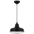 thumbnail image 1 of Westinghouse 6401000 une Lumière LED Pendentif Réglable & 44; Noir, 1 of 2