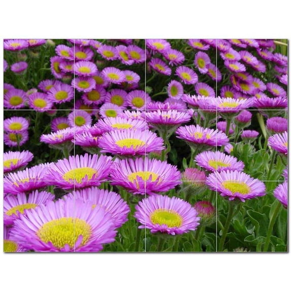 Flower Photo Ceramic Tile Mural Kitchen Backsplash Bathroom Shower 404897-XL43