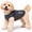 Black, variant on Pet Life TSHL1BLSM Active Aero-Pawlse Heathered Quick-Dry & 4-Way Stretch-Performance Dog Tank Top T-Shirt - Seafoam Blue, Small