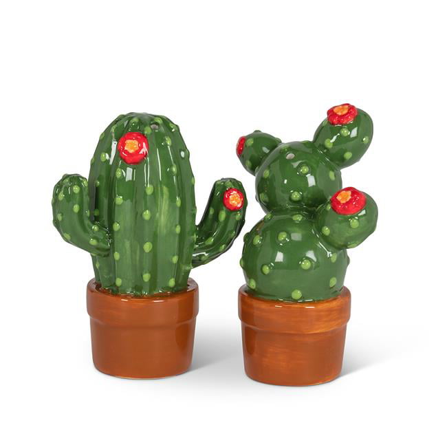 Cactus Salt & Pepper Shakers Set Green Cactus w/Bandanana Collectible Shakers 