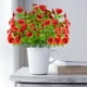 thumbnail image 5 of Flores artificiales, flores falsas, flores artificiales, juego de regalo para mujer, 5 piezas, flores artificiales surtidas con hojas de eucalipto y pensamientos, ideales para interiores y exteriores,, 5 of 5