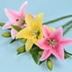 thumbnail image 2 of Xiao Hua Juego de 5 flores de lirio artificiales con un toque realista, ideal para bodas, fiestas, jardines y decoración de oficinas. Flores de lirio artificiales, color rosa claro., 2 of 5