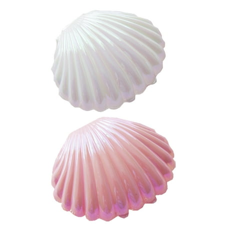

FRCOLOR 2pcs Simulation Shell Photography Props Shell Adornment Storage Candy Box