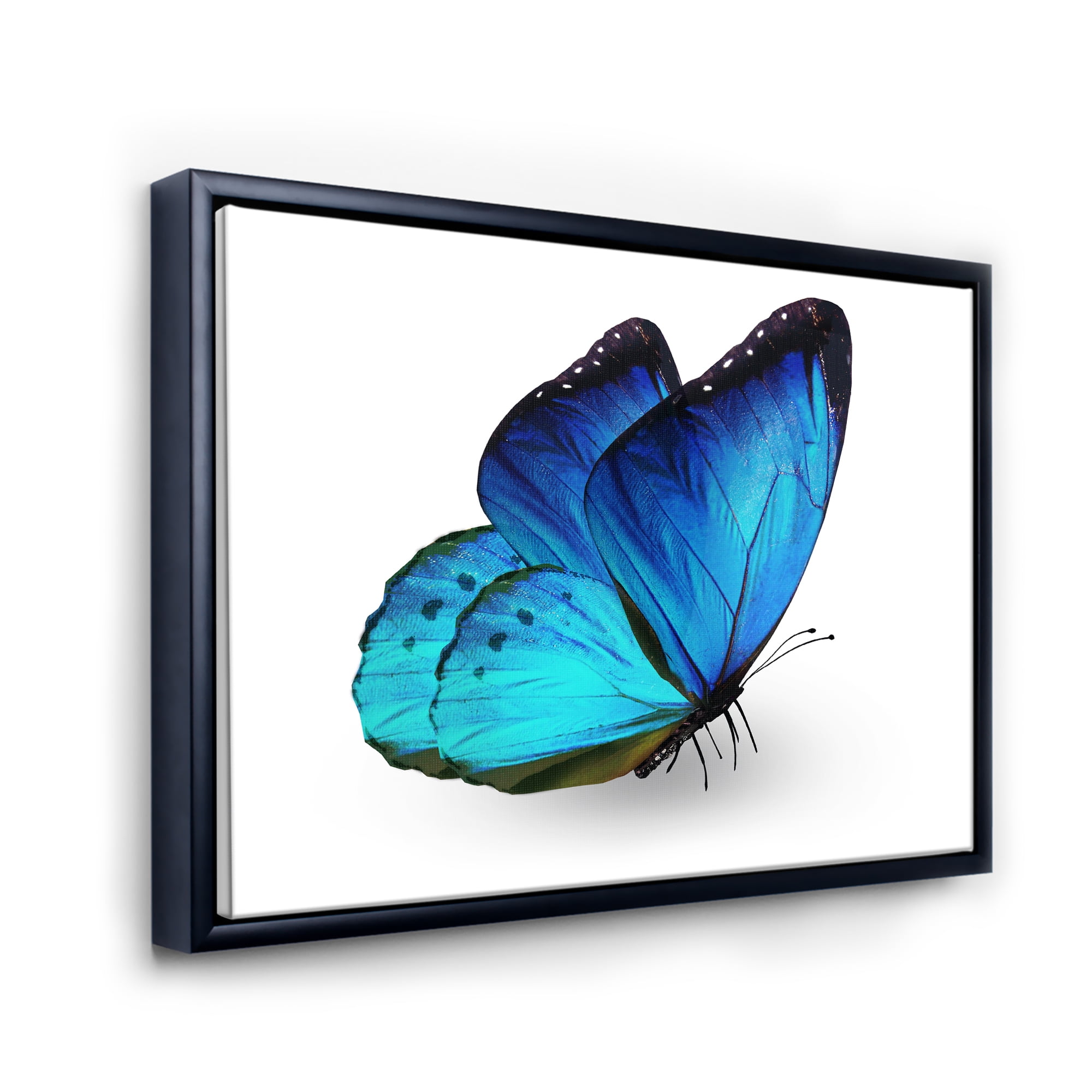 Designart 'Close Up Of Vibrant Blue Butterfly On White' Modern Framed Canvas Wall Art Print