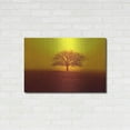 thumbnail image 3 of Luxe Metal Art 'So lonely' by Philippe Sainte-Laudy, Metal Wall Art, 36"x24", 3 of 9
