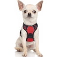 thumbnail image 1 of Rabbitgoo Arnés para Perros, Arnés para Mascotas Sin Tirones con 2 Clips para Correa, Chaleco Acolchado Suave Ajustable para Perros, Chaleco Oxford Reflectante para Mascotas sin Estrangulamiento con M, 1 of 4