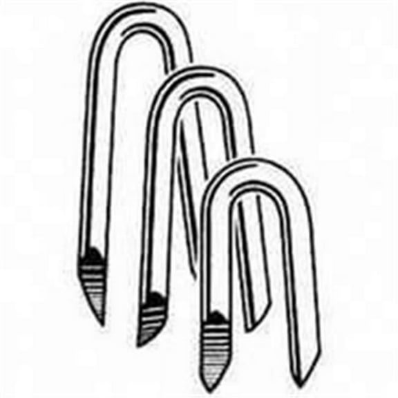 Staple Fence Eg 1-1/4 In 1Lb 79078 Pack Of 12