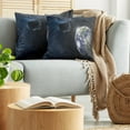 thumbnail image 5 of Ambesonne Galaxy Throw Pillow Cover 2 Pack, Asteroid Rocky Space, 18", Dark Blue Grey, 5 of 5