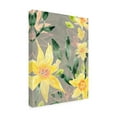 thumbnail image 2 of June Erica Vess 'Narcissus Fresco I' Canvas Art, 2 of 4