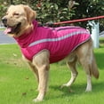thumbnail image 5 of Dogs Clothes Dog Winter Jacket Reflective Vest Dog Bodysuits 2-Leg Step In Raincoats Pet Dog Outfit Puppy Photo Props, 5 of 8