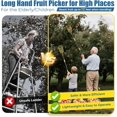 thumbnail image 2 of Fruit Picker Pole Tool, 35-75" Adjustable Long Picker,Ladder-Free Harvesting Aid,Safe for Elderly&Children,Durable Stainless Steel Design–for Picking s,Avocados,Oranges,Grapefruit,Plums,Pear, 2 of 5
