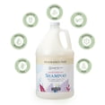 thumbnail image 4 of Ginger Lily Farms Botanicals Moisturizing Shampoo for All Hair Types, 100% Vegan & Cruelty-Free, Fragrance Free, 1 Gallon (128 fl oz) Refill, 4 of 6