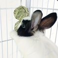 thumbnail image 2 of 1PCS Brushed Artificial Grass Chew Toy for Rabbits - Durable Teething & Play Ball Set for Small Animals, 2 of 5