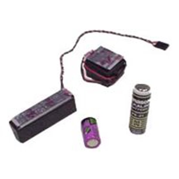 Battery Biz HiCapacity CMOS Battery