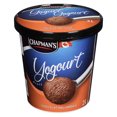 thumbnail image 2 of Chapman's Frozen Yogurt Dutch Chocolate in a Tub, 2L, 2 of 5