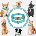 thumbnail image 4 of Jumpress Soft Leather Dog Collar with Quick Release Metal Buckle,Teal Leather Collar for Medium Dogs, M, 4 of 7
