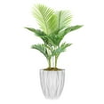 thumbnail image 1 of Vintage Home Artificial Faux Real Touch 5.34 Feet Tall Palm Tree With Fiberstone Planter, 1 of 3