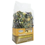 Exotic Nutrition Pasture Plus+ Dandelion Delicacy - Small Animal Pet Treat - Squirrels, Guinea Pigs, Rabbits, Chinchillas, Pr