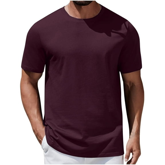 snilers Men's T Shirts Lightweight Crewneck Short Sleeve Basic Athletic Tee Shirts Workout Quick Dry Loose Fitted Tees
