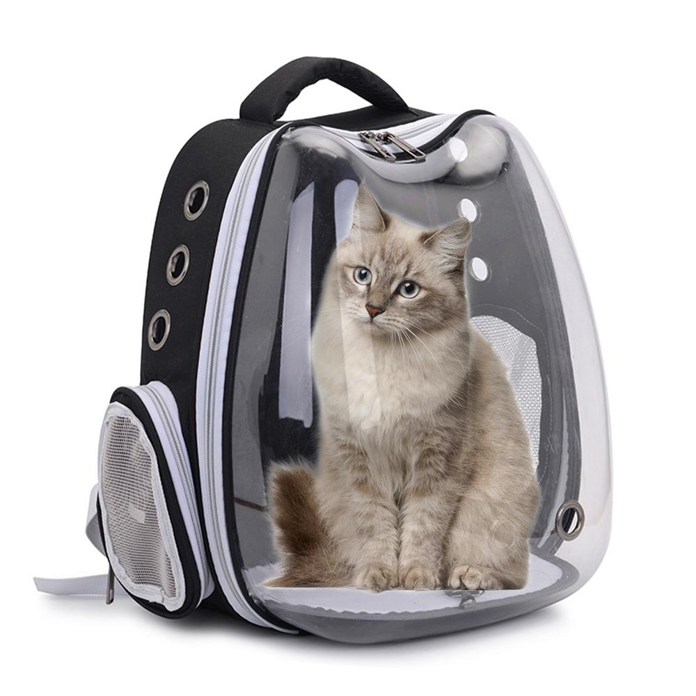 space backpack for cats