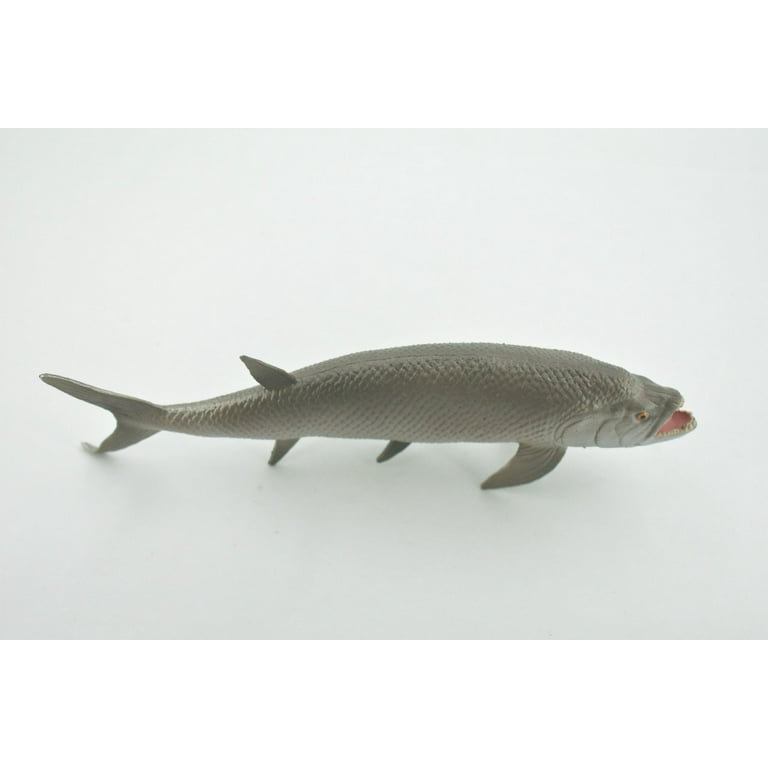Xiphactinus toy sales