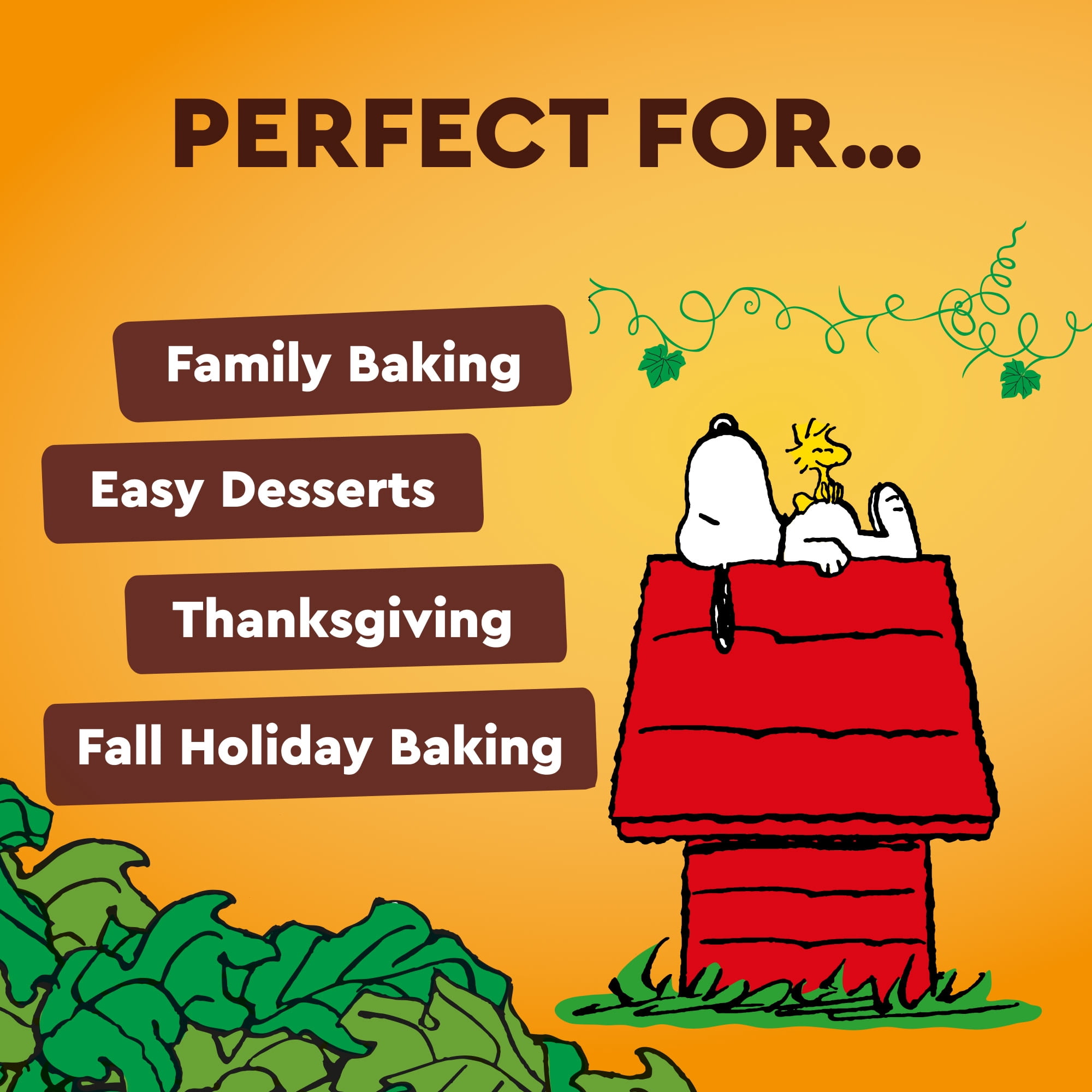 Duncan Hines Snoopy The Great Pumpkin Bundt Cake & Glaze Mix, 20.53 oz.