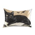 thumbnail image 7 of Yayeee Pillowcase Queen Size Set of 2 Satin Wrinkle Resistant Pillow Case, Brown Halloween Cat, 7 of 7