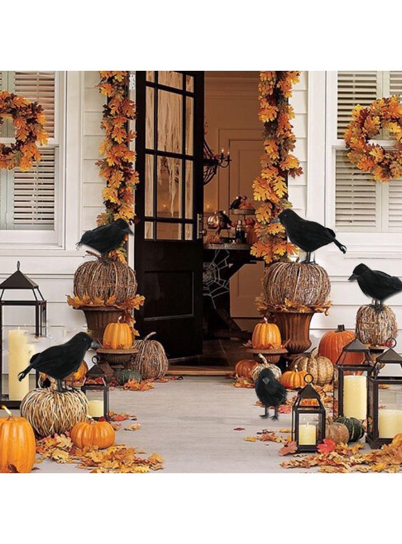 Halloween Decor under 12 in Halloween Decor