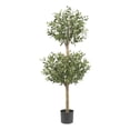 thumbnail image 1 of Nearly Natural 54" Olive Double Topiary Silk Tree in Green/Black, 1 of 6
